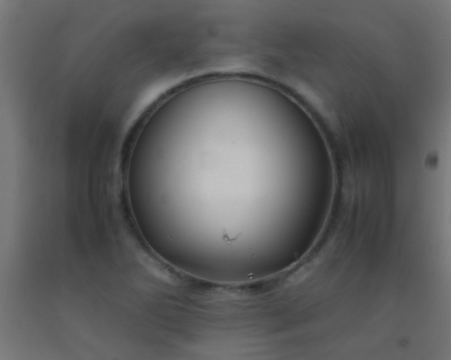 X0000092291270200709281259