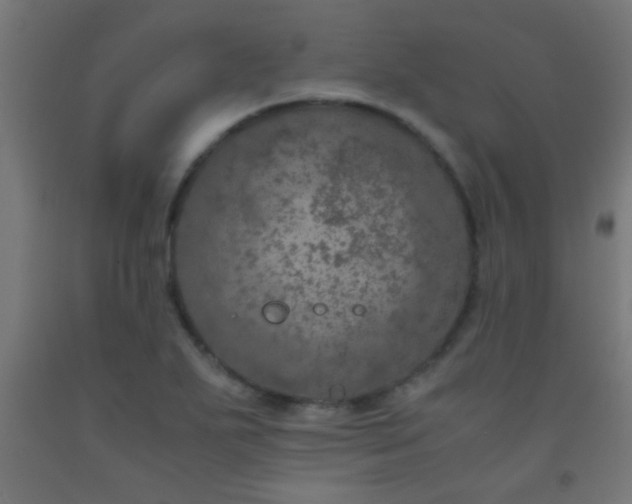 X0000092291271200709281259