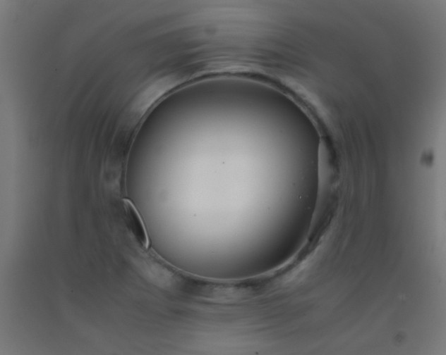 X0000092291273200709281258