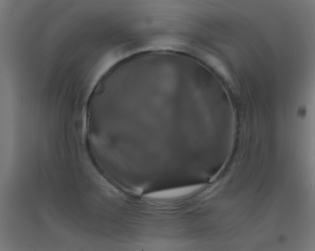 X0000092291275200709281258