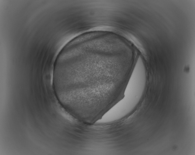 X0000092291276200709281258