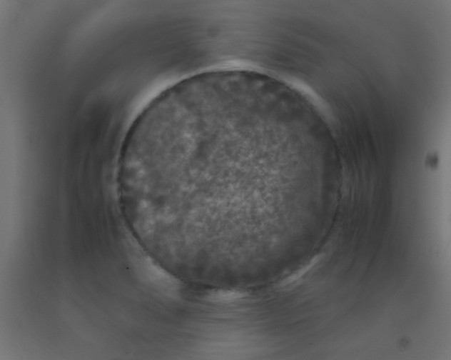 X0000092291278200709281258