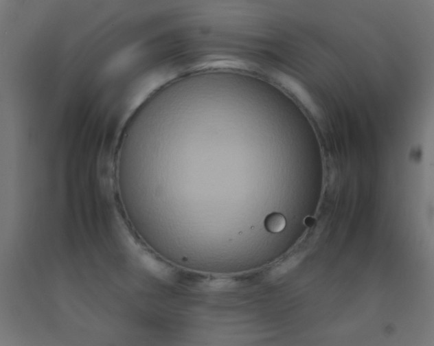 X0000092291282200709281258