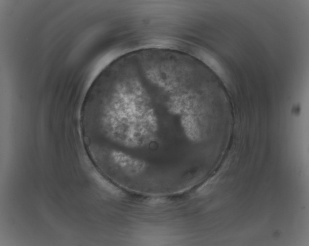 X0000092291283200709281258