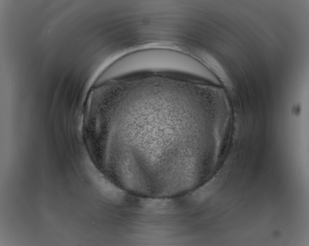 X0000092291284200709281258