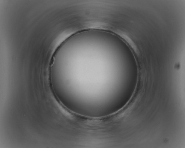 X0000092291285200709281258