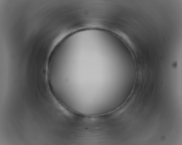 X0000092291286200709281258