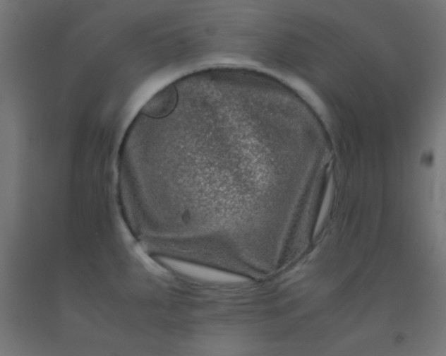 X0000092291287200709281258