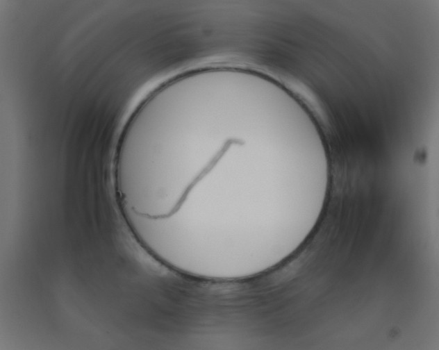 X0000092291288200709281258