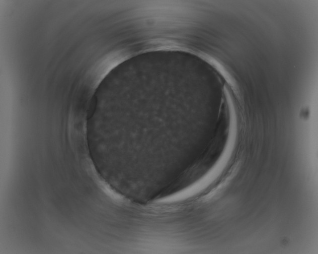 X0000092291289200709281258