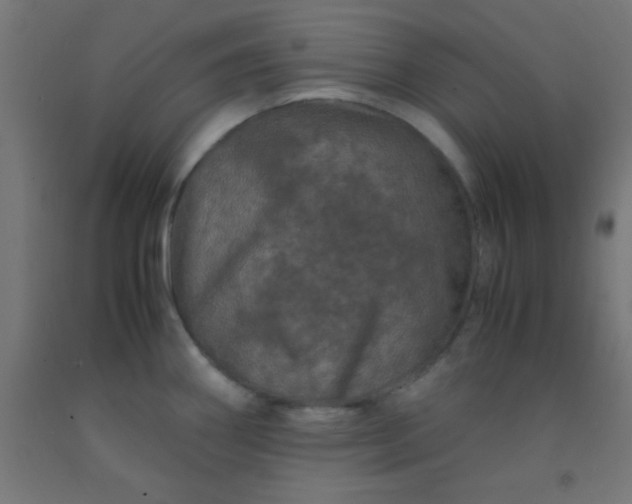 X0000092291290200709281258