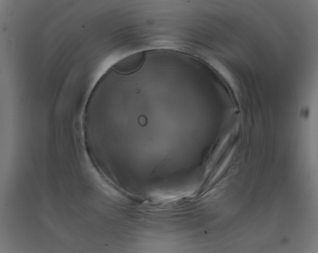 X0000092291291200709281258