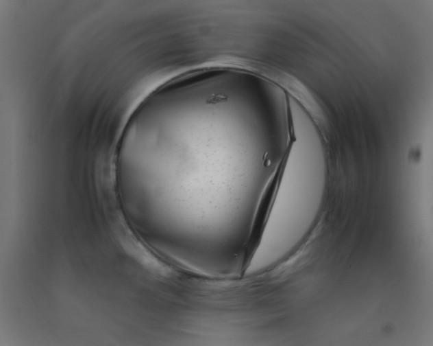 X0000092291292200709281258