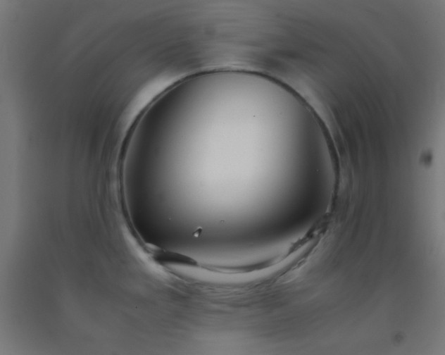 X0000092291293200709281258