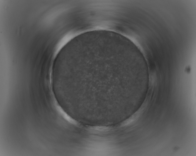 X0000092291294200709281258