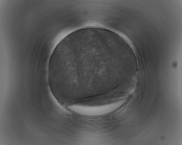 X0000092291295200709281258