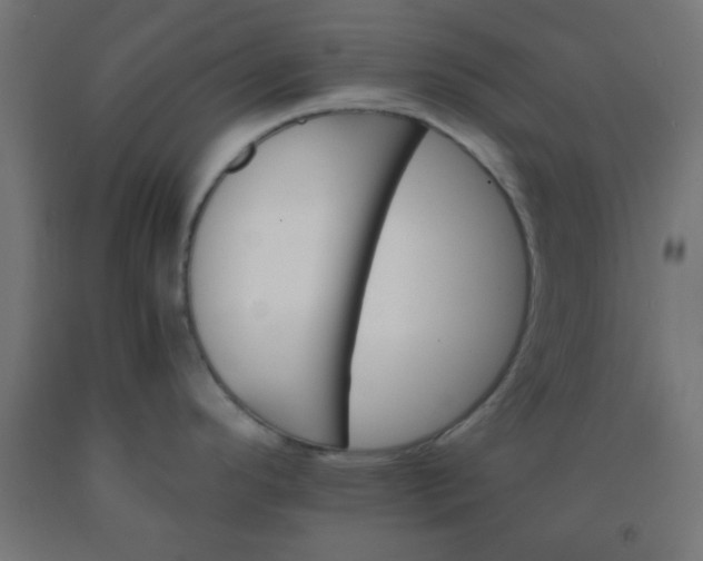 X0000092291296200709281258