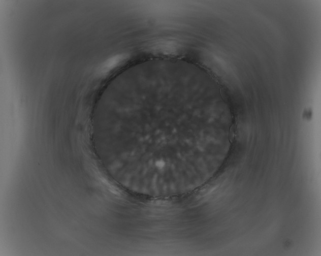 X0000092291297200709281258