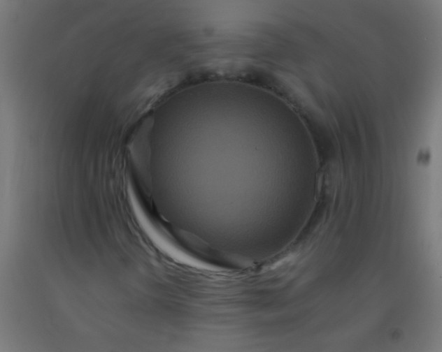 X0000092291298200709281258