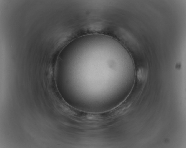 X0000092291299200709281258