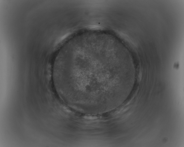 X0000092291301200709281258