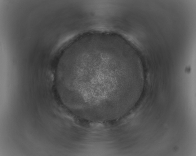 X0000092291302200709281258