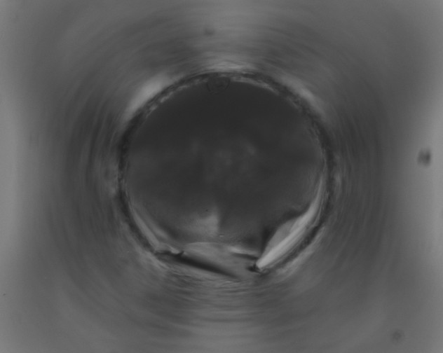 X0000092291306200709281258