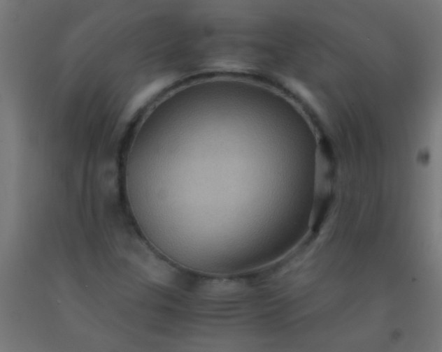 X0000092291307200709281258