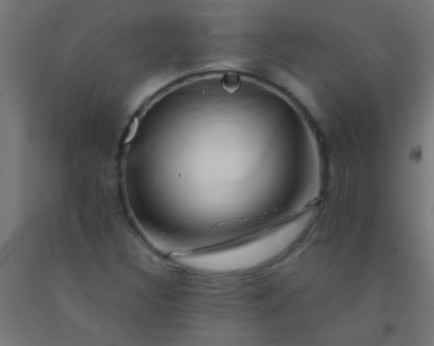 X0000092291308200709281258