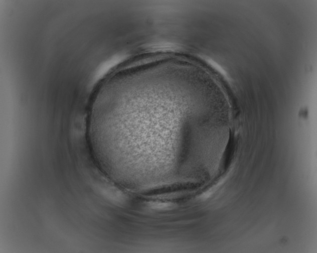 X0000092291309200709281258