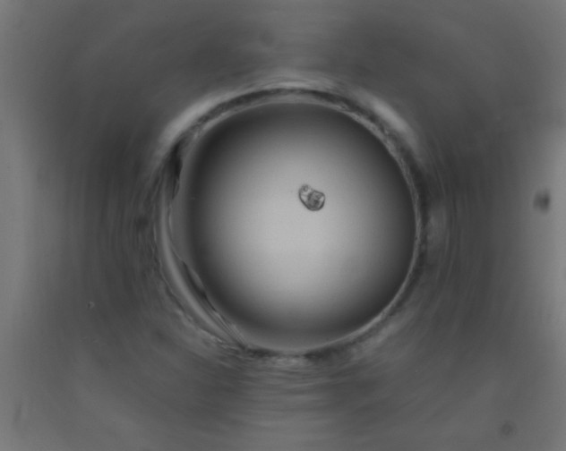 X0000092291310200709281258