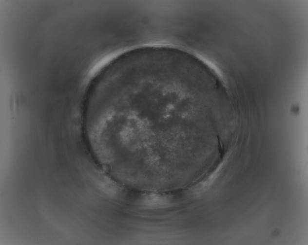 X0000092291311200709281258