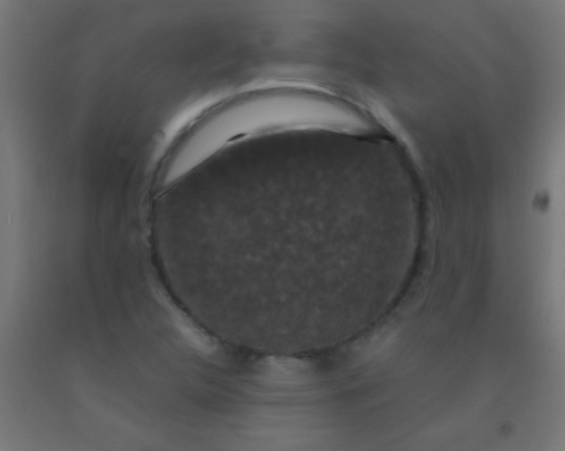 X0000092291312200709281258