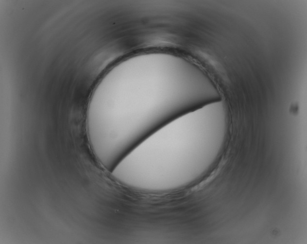 X0000092291313200709281258