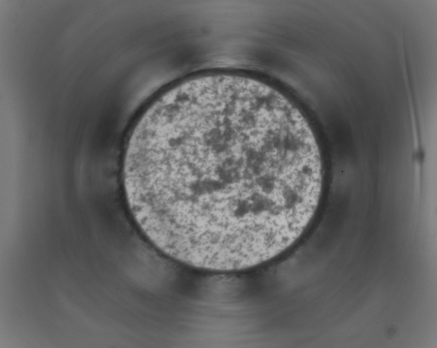 X0000092291314200709281258