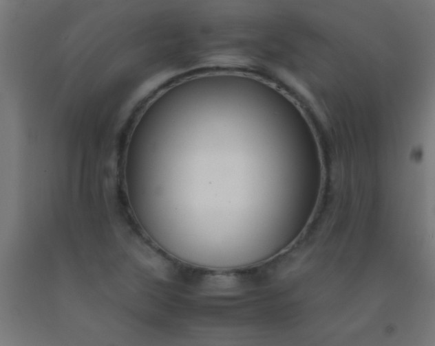 X0000092291315200709281258