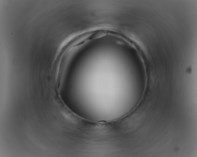 X0000092291316200709281258