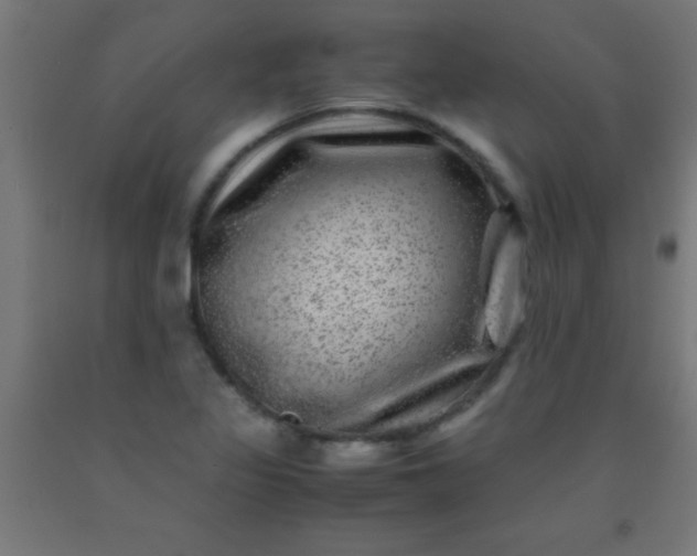 X0000092291317200709281258