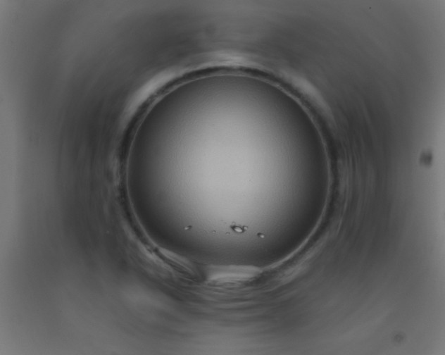 X0000092291318200709281258