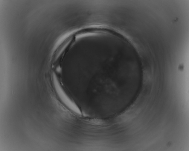 X0000092291319200709281258