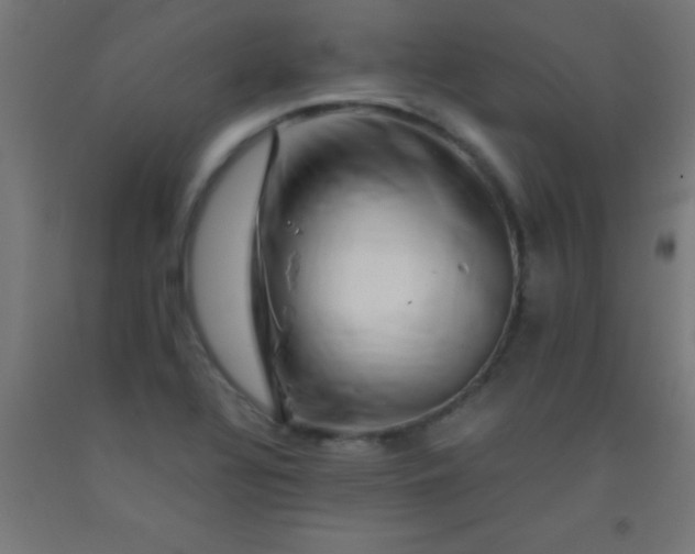 X0000092291320200709281258