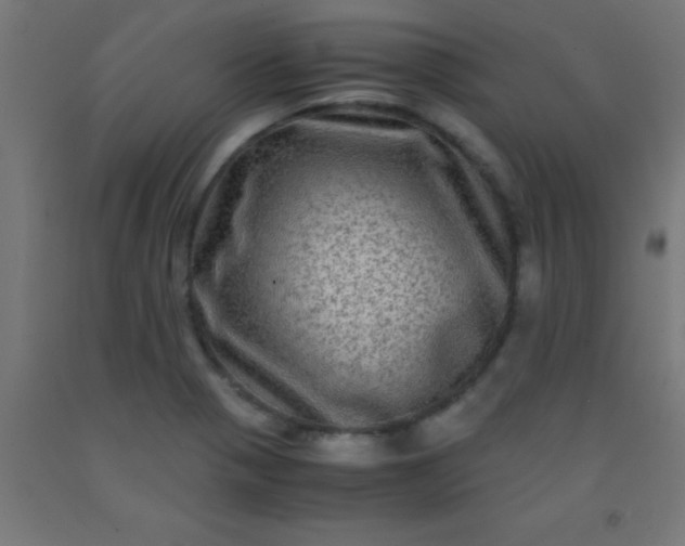 X0000092291321200709281258