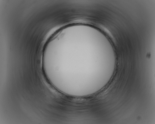 X0000092291323200709281258