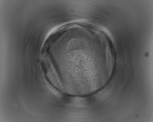 X0000092291324200709281258