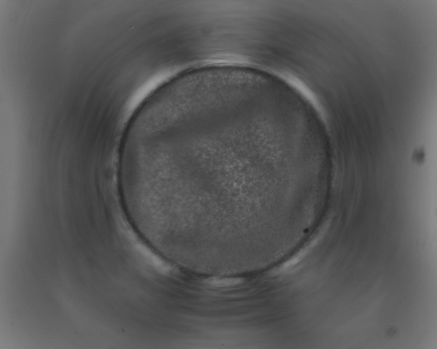 X0000092291325200709281258