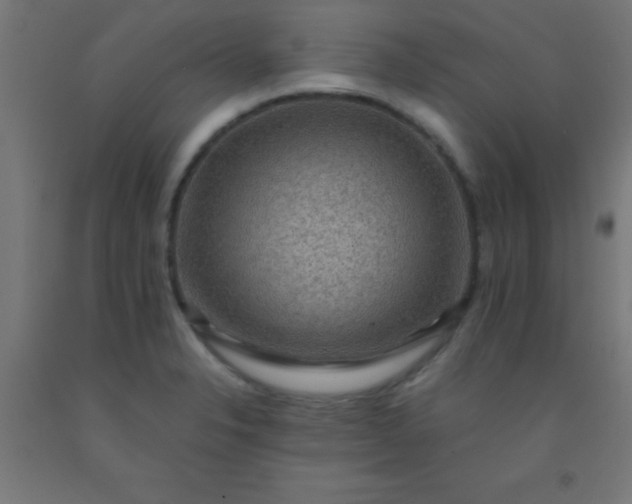 X0000092291326200709281258