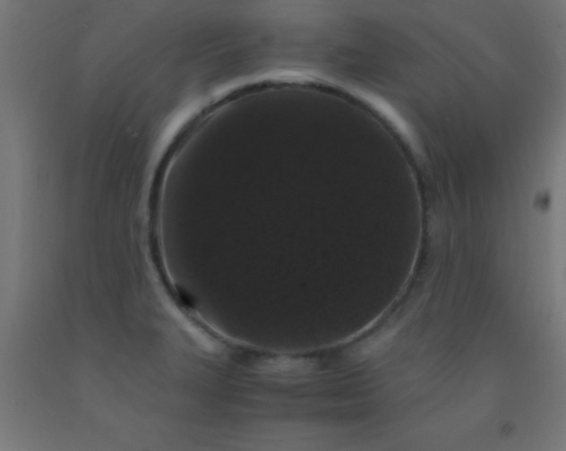 X0000092291327200709281258