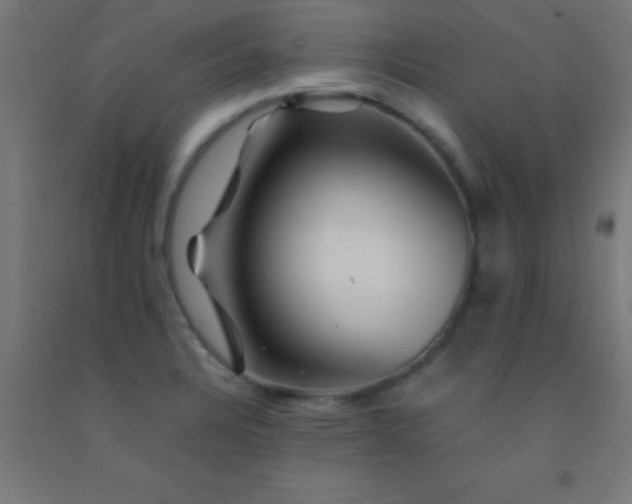 X0000092291328200709281258