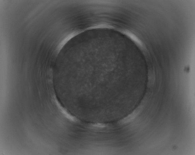 X0000092291329200709281258