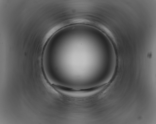 X0000092291330200709281258